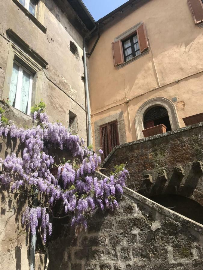 Centralissima Maison Di San Francesco, Unica E Accogliente! Sutri Buitenkant foto